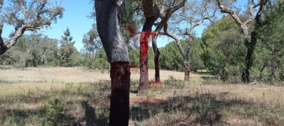  قطعة أرض في Couco, Portugal 51500متر مربع رقم 62246 4