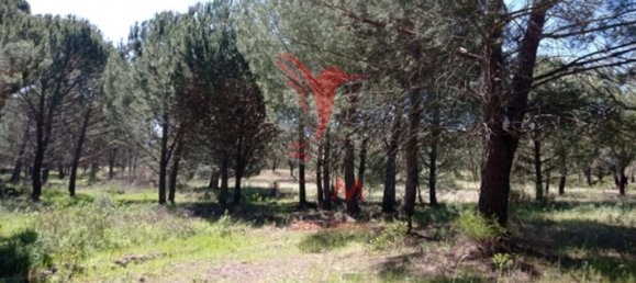  قطعة أرض في Couco, Portugal 51500متر مربع رقم 62246 2