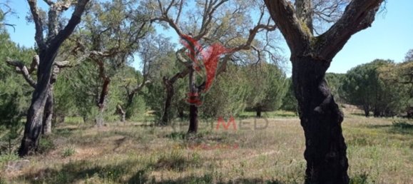  قطعة أرض في Couco, Portugal 51500متر مربع رقم 62246 7