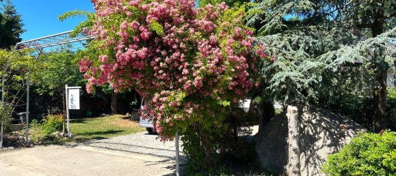 4 Schlafzimmer Stadthaus in Mecklenburgische Seenplatte, Germany, Nr. 334853 2
