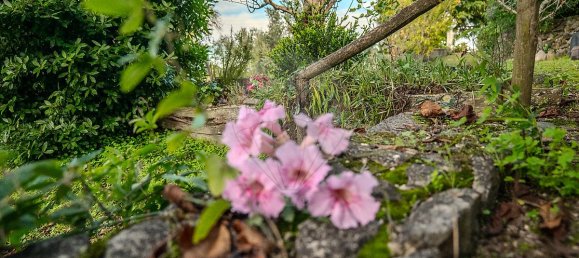 Дом с 3 спальнями в Томар, Португалия № 24966 13