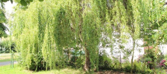 Terreno em Holzminden, Germany N.º 341911 7