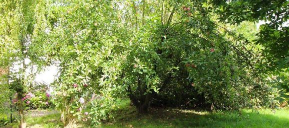 Terreno em Holzminden, Germany N.º 341911 8