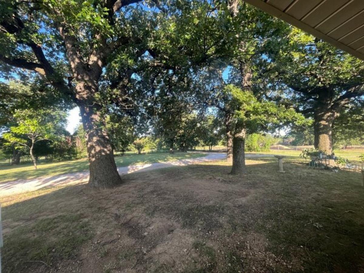 3 bedrooms House in Ada, USA No. 429601