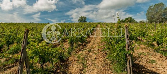 22 bedrooms House in Florence, Italy No. 78413 29