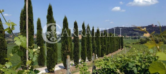 22 bedrooms House in Florence, Italy No. 78413 31