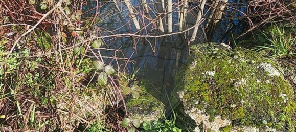 3 غرف نوم منزل في Valpacos, Portugal رقم 177731 26