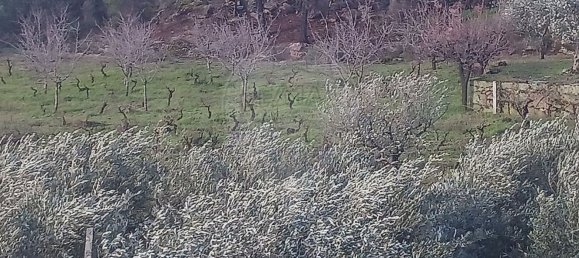 3 غرف نوم منزل في Valpacos, Portugal رقم 177731 24