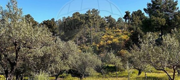 3 غرف نوم منزل في Valpacos, Portugal رقم 177731 28