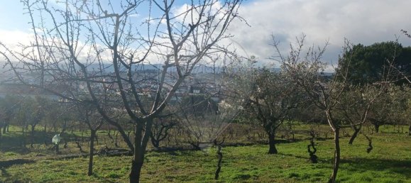 3 غرف نوم منزل في Valpacos, Portugal رقم 177731 27