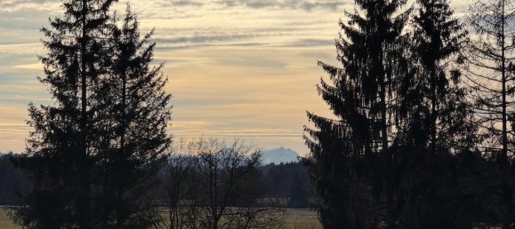 Adosado de 11 habitaciónes en Ravensburg, Germany No. 22284 39