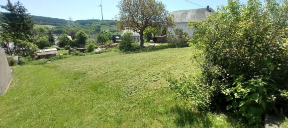  Land in Trier-Saarburg, Germany No. 320425 3