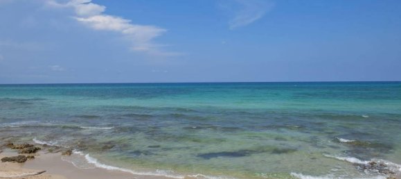 Grundstück in Carovigno, Italy 8300m², Nr. 30167 15