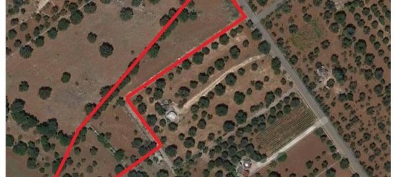 Grundstück in Carovigno, Italy 8300m², Nr. 30167 6