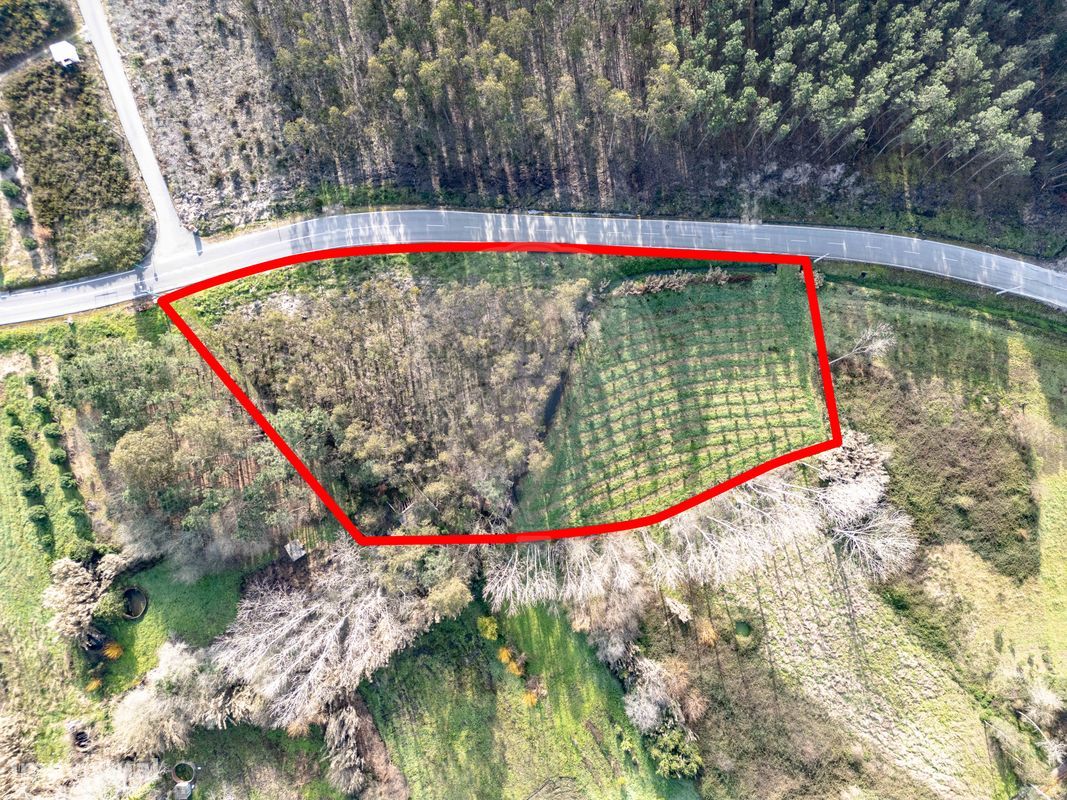 Grundstück in Ourenta, Portugal 3400m², Nr. 85076