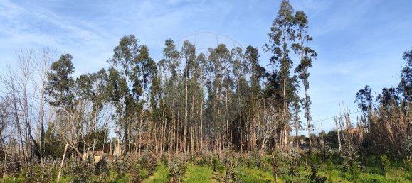 Grundstück in Ourenta, Portugal 3400m², Nr. 85076 14