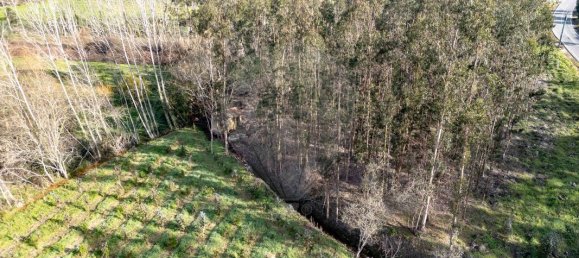 Grundstück in Ourenta, Portugal 3400m², Nr. 85076 13