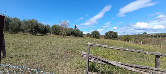 12 rooms Villa in Montelibretti, Italy No. 256872 6