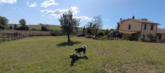 12 rooms Villa in Montelibretti, Italy No. 256872 5