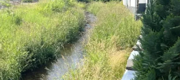 Apartamento de 2 dormitorios en Euskirchen, Germany No. 242507 3