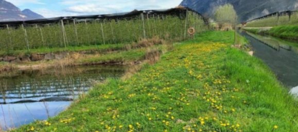 2800m² Land in Trentino-Alto Adige, Italy No. 317315 5