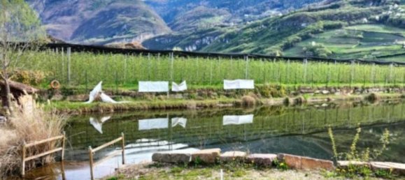 2800m² Land in Trentino-Alto Adige, Italy No. 317315 4