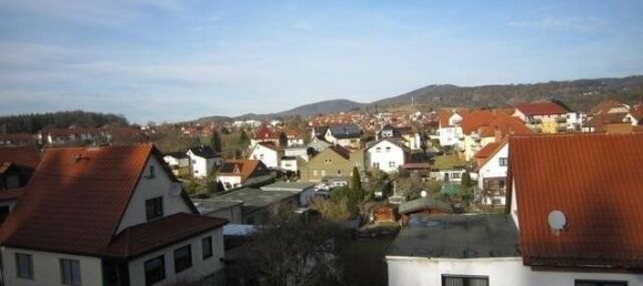 Таунхаус с 8 комнатами в Вартбург, Германия № 44495 15