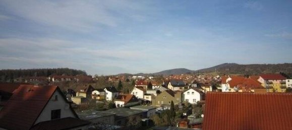 Таунхаус с 8 комнатами в Вартбург, Германия № 44495 16