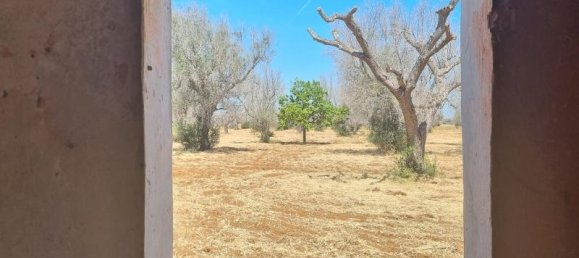 2-salle Maison à Squinzano, Italy No. 233028 10