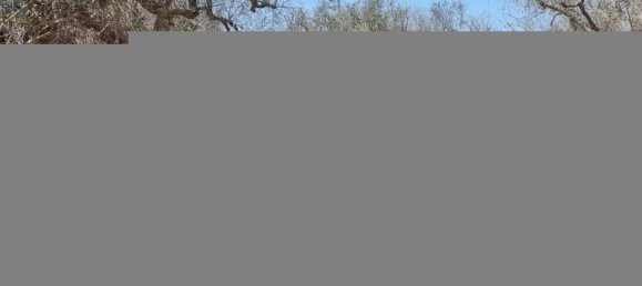 2-salle Maison à Squinzano, Italy No. 233028 6