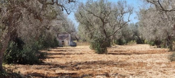 2-salle Maison à Squinzano, Italy No. 233028 8