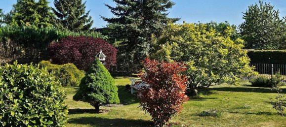 5غرفة منزل في Vorpommern-Greifswald, Germany رقم 324185 3