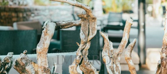 Propiedad comercial de 3 habitaciónes en Bordighera, Italy No. 9971 24