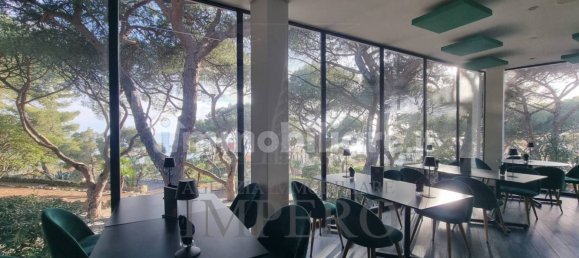 Propiedad comercial de 3 habitaciónes en Bordighera, Italy No. 9971 13