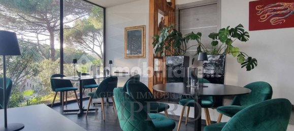 Propiedad comercial de 3 habitaciónes en Bordighera, Italy No. 9971 14