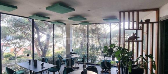 Propiedad comercial de 3 habitaciónes en Bordighera, Italy No. 9971 11