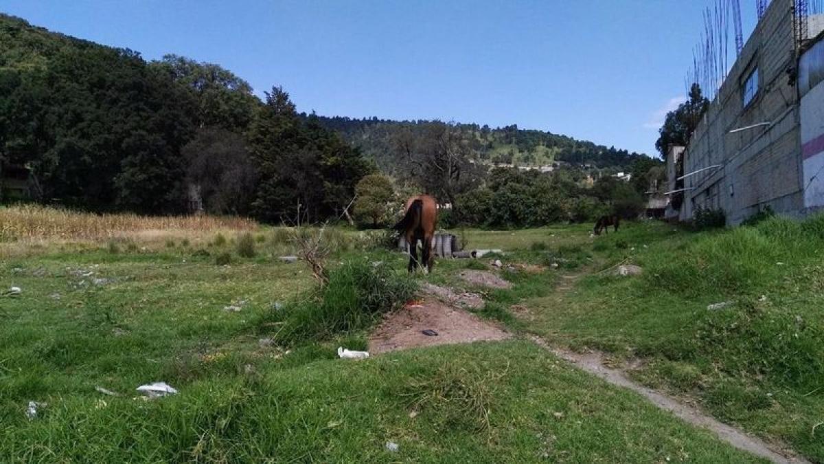 Grundstück in Lerma, Mexico, Nr. 204905