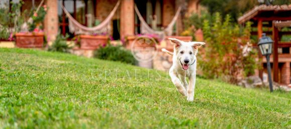 24 rooms House in Todi, Italy No. 178509 13