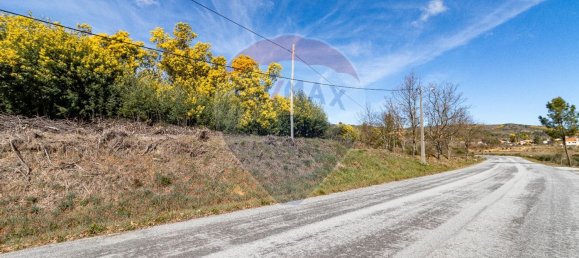 Terrain à Macainhas, Portugal 3200m² No. 68003 3