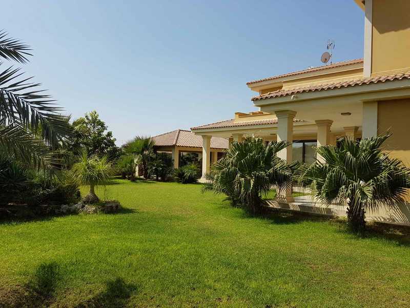 5 bedrooms Commercial property in Agioi Trimithias, Cyprus No. 19530