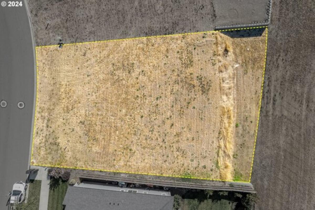 Земельный участок в Юджин, США № 474958