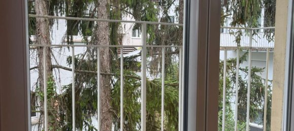 1 غرف نوم شقة في Stuttgart, Germany رقم 305136 31