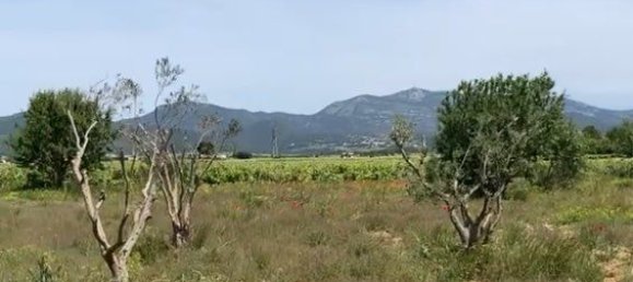  Land in Saint-Andre-de-Sangonis, France No. 316113 2