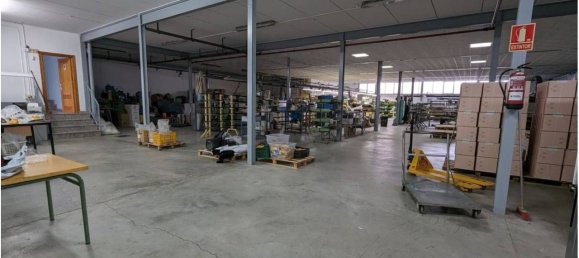 مستودع في Sax, Spain 1210متر مربع رقم 88912 4