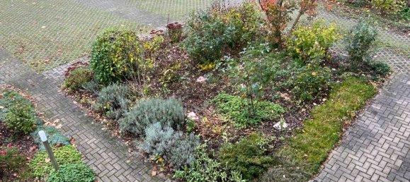 استوديو في Dresden, Germany رقم 290163 13