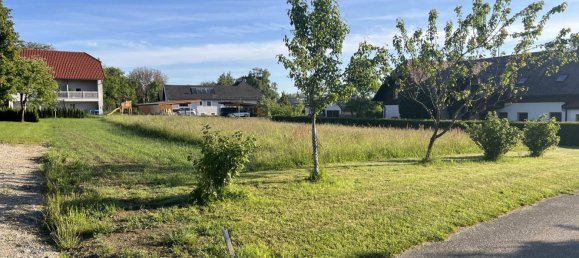 Terreno en Desselbrunn, Austria No. 164866 5