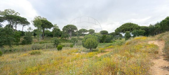 8720m² Land in Alenquer, Portugal No. 88910 2