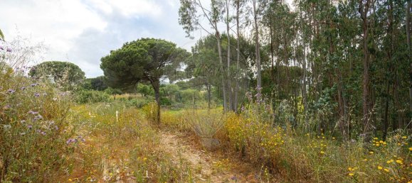 8720m² Land in Alenquer, Portugal No. 88910 5