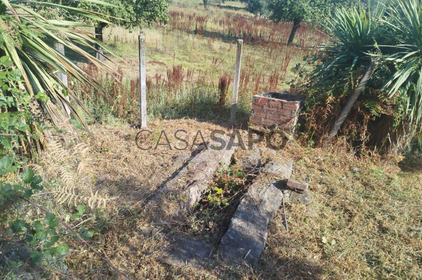  قطعة أرض في Mangualde, Portugal رقم 299837