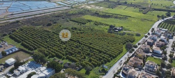 6 bedrooms Land in Tavira, Portugal No. 112604 9